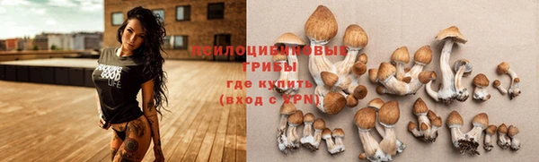 mdpv Алексин