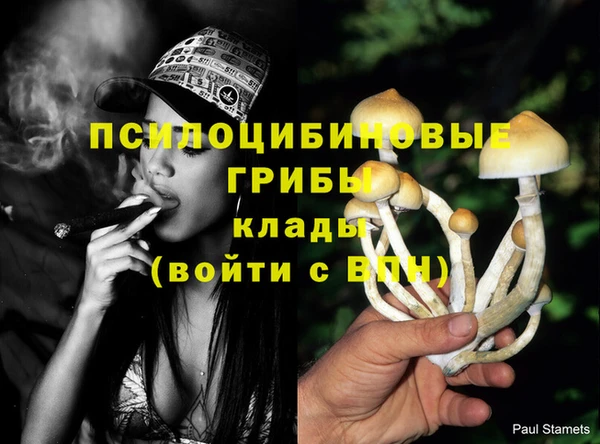 метадон Алексеевка