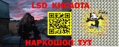 Альфа ПВП Гусев