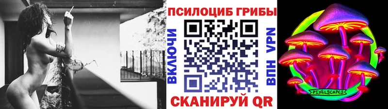 нарко площадка официальный сайт Чебаркуль Псилоцибиновые грибы Cubensis
