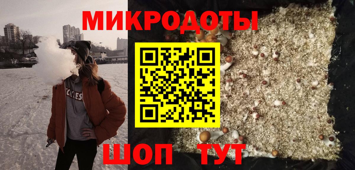 Чебаркуль  Галлюциногенные грибы Psilocybine cubensis  Вход с VPN 