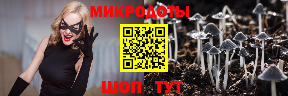 Галлюциногенные грибы прущие грибы Чебаркуль