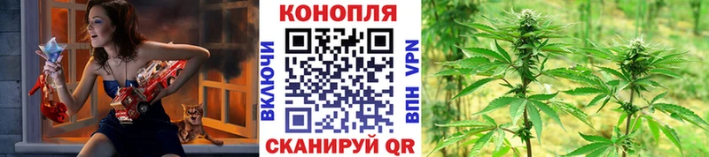 Каннабис OG Kush  Чебаркуль 